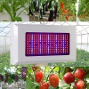 Derlight® 300W Das ganze Spektrum LED Pflanzenlampe für Gewächshaus Pflanze Bluete White Shell IR UV Licht für Zimmerpflanzen Blumen und Gemüse (300W) - 1