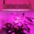 Derlight ® 600W Das ganze Spektrum LED Pflanzenlampe für Gewächshaus Pflanze Bluete White Shell IR UV Licht für Zimmerpflanzen Blumen und Gemüse (600W) - 7