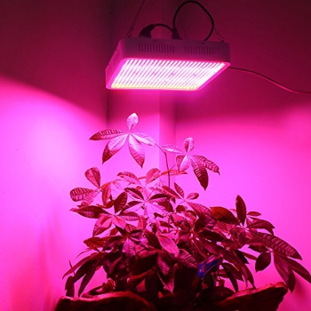 800W LED Pflanzenlicht Pflanzenlampe Wachstums Licht Grow Lampen Voll Spektrum 