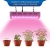 Roleadro 300w Dimmbare LED Grow Wachsen Licht für Gewächshaus Pflanzen 40*21*6CM Pflanzenlampe - 6