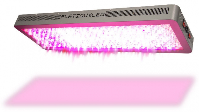 Platinum LED im Test, Erfahrungen & Modellvergleich der Grow Lampen