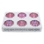 Growking LED 300 Watt Vollspektrum Panel